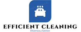 Efficient Cleaning